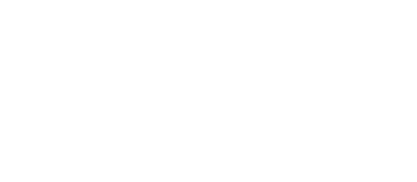 Leeds Council